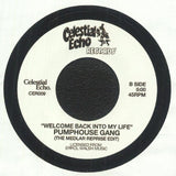 PUMPHOUSE GANG Welcome Back Into My Life (7") Celestial Echo - punk to funk heaven