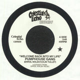 PUMPHOUSE GANG Welcome Back Into My Life (7") Celestial Echo - punk to funk heaven