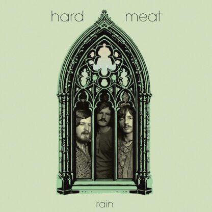 Rain Artist HARD MEAT Format:LP Label:SOMMOR - punk to funk heaven