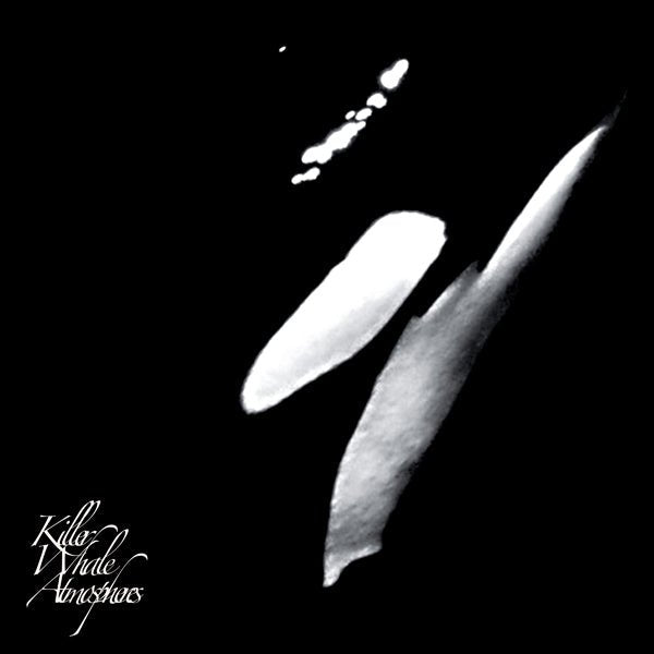 RAINFOREST SPIRITUAL ENSLAVEMENT KILLER WHALE ATMOSPHERES (2LP) - punk to funk heaven