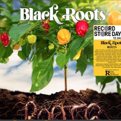 Roots (Rsd 2025) Artist BLACK ROOTS Format:LP Label:NUBIAN / REAL ROCK - punk to funk heaven