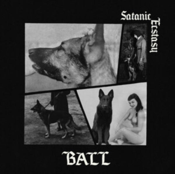 Satanic Ecstasy Artist Ball Format:Vinyl / 12" Album Coloured Vinyl (Limited Edition) Label:Horny Records - punk to funk heaven