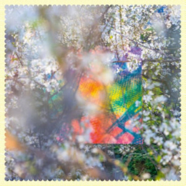 Sixteen Oceans Artist Four Tet Format:Vinyl / 12" Album Label:Text - punk to funk heaven
