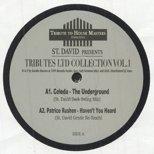ST DAVID Tributes Ltd Collection Vol 1 Tribute To House Masters Format: 12" - punk to funk heaven