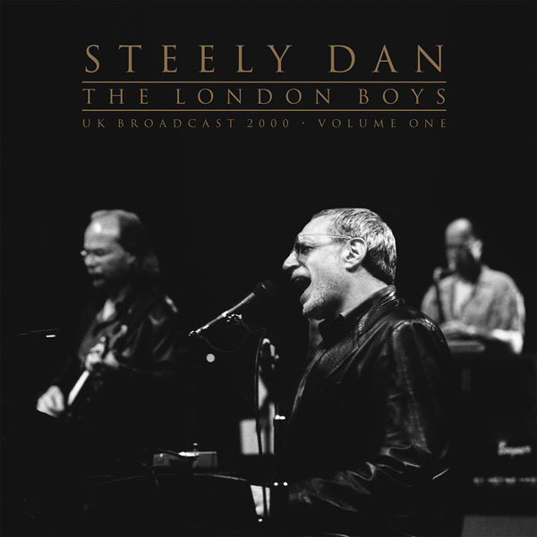 STEELY DAN THE LONDON BOYS VOL.1 (2LP) VINYL DOUBLE ALBUM - punk to funk heaven