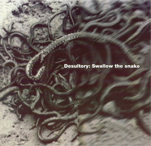 Swallow The Snake (Sunburst Yellow/Red Vinyl) Artist DESULTORY Format:LP Label:REISSUED SOUNDS - punk to funk heaven