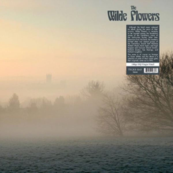 The Wilde Flowers Artist The Wilde Flowers Format:Vinyl / 12" Album Label:Tiger Bay - punk to funk heaven
