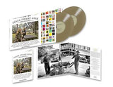 Delta Swamp Rock – Sounds From The South: At The Crossroads Of Rock, Country And Soul  LPX2 Gold Coloured Vinyl
