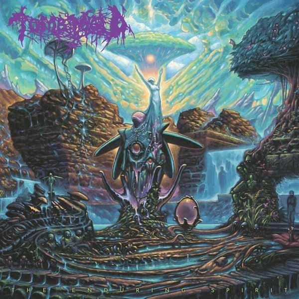TOMB MOLD THE ENDURING SPIRIT VINYL LP - punk to funk heaven