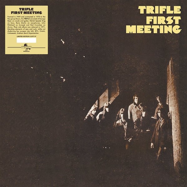 Trifle First Meeting vinyl lp - punk to funk heaven