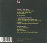 WARRINGTON RUNCORN NEW TOWN DEVELOPMENT PLAN Appendix I (CD) Castles In Space - punk to funk heaven