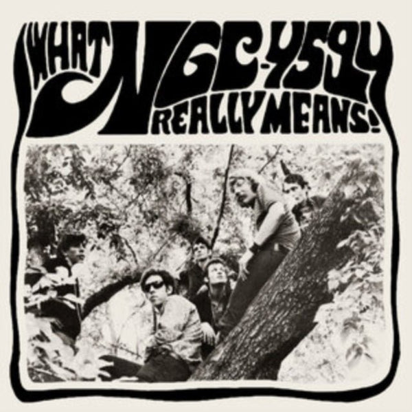 What NGC - 4594 Really Means! Artist NGC - 4594 Format:Vinyl / 12" Album with 7" Single Label:Guerssen - punk to funk heaven