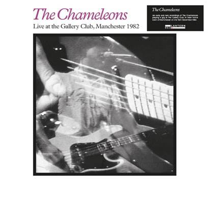 THE CHAMELEONS – Live at the Gallery Club vinyl lp  LANR003