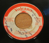 cornel campbell money 1979  jamaican  volcano   label 7" vinyl single
