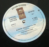 dictators search & destroy 1977 uk asylum label vinyl lp   proto  punk