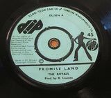 the royals promise land 1974 uk dip  label  7" vinyl 45  original rare reggae