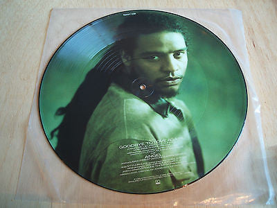 maxi priest   goodbye to love again   1988 uk picture disc  12" vinyl ep
