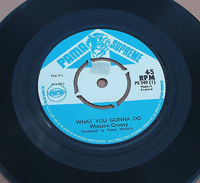winston groovy   what you gonna do   1972 uk  pama supreme label vinyl 7"  ex