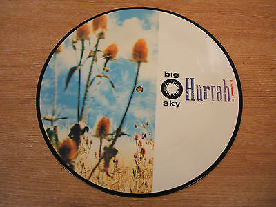 hurrah !  big sky 1989 uk issue  10  inch vinyl  picture disc