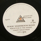 magic mushroom band pictures in my mind 1991 uk magick eye label ex+ space rock