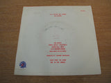 the saints  follow the leader 1983 uk flicknife label issue  7" vinyl  mint -