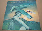 ray conniff   i can see clearly now  south american / colombian cbs pressing lp