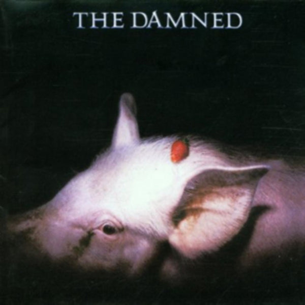 The Damned ‎– Strawberries Label: Sanctuary ‎– BMGRM052LP Format: Vinyl, LP