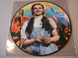 Various ‎– The Wizard Of Oz 12" vinyl picture disc lp