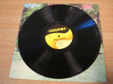 IRoy ‎– Gussie Presenting IRoy Vinyl, LP, Album, sunspot Reissue