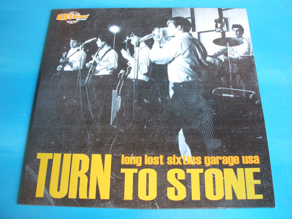 Various ‎– Turn To Stone (Long Lost Sixties Garage USA) vol 1 vinyl lp comp