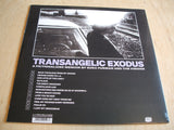 Ezra Furman ‎–  Transangelic Exodus ltd lavender colour vinyl lp