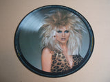 Blondie - The Hunter  Vinyl LP Album Picture Disc