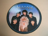 Blondie - The Hunter  Vinyl LP Album Picture Disc
