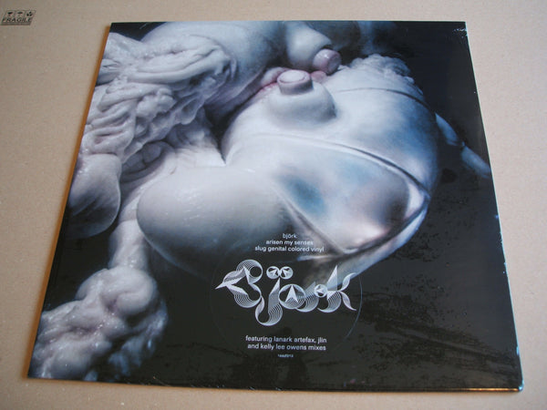 Björk - Arisen My Senses Vinyl, 12", 45 RPM, Slug Genital Colored