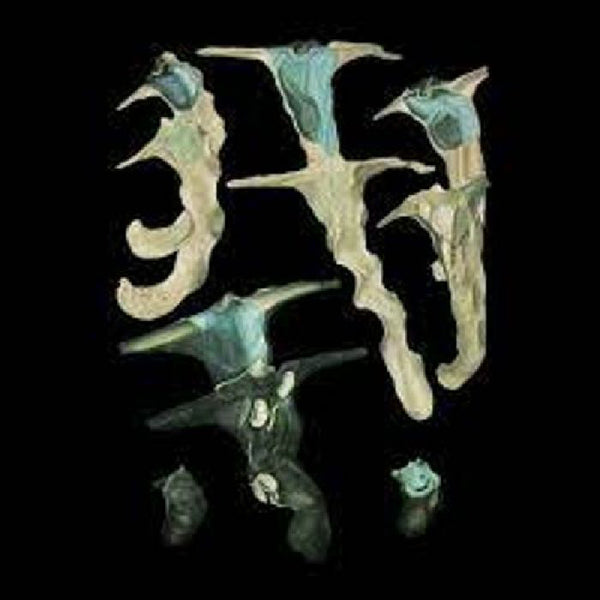 JELLYFISH REPRODUCE BLACK MAGIC (NEON GREEN VINYL) by RAINFOREST SPIRITUAL ENSLAVEMENT