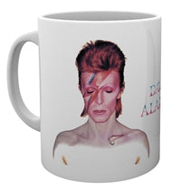 ALADDIN SANE  by DAVID BOWIE  Mug  MG1840