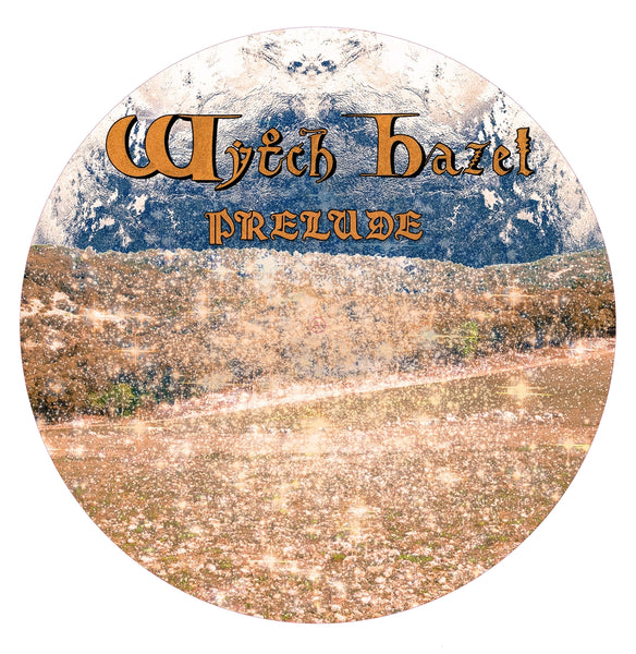 PRELUDE (PICTURE DISC) by WYTCH HAZEL Vinyl 12" Picture Disc  OMEN015PD