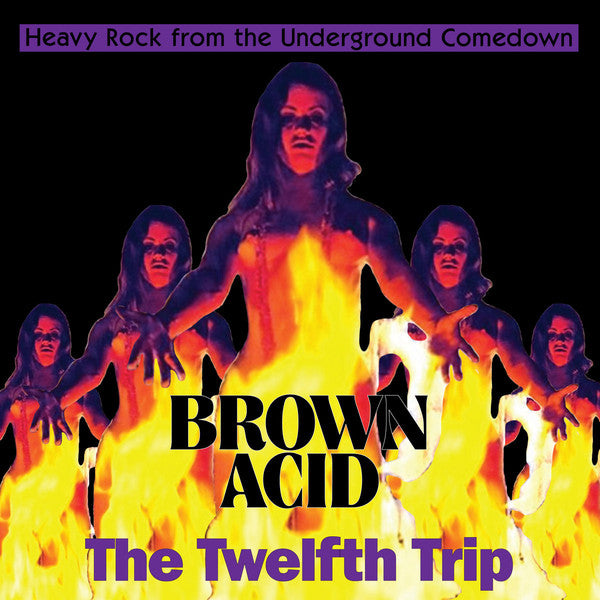 various  Brown Acid The Twelfth Trip (Heavy Rock From The Underground Comedown) vinyl lp orange EZRDR-131