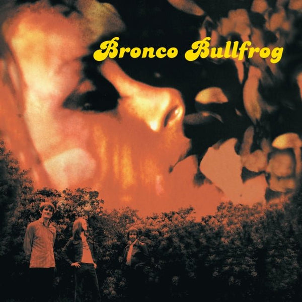 Bronco Bullfrog Artist BRONCO BULLFROG Format: 2 x LP Label:GUERSSEN - punk to funk heaven