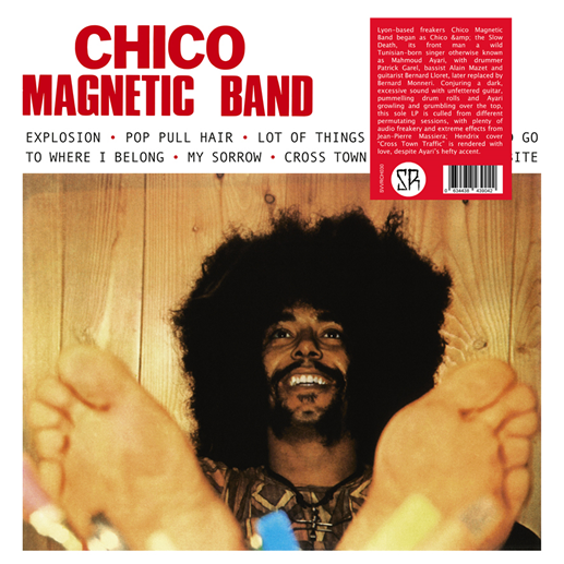 CHICO MAGNETIC BAND   CHICO MAGNETIC BAND vinyl lp SVVRCH030