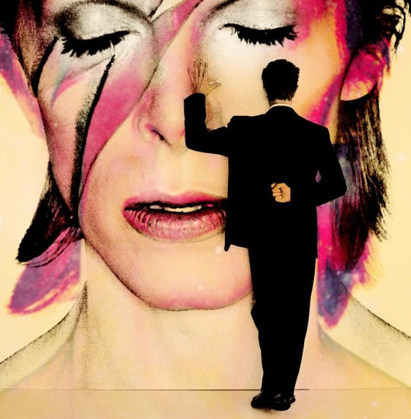 David Bowie ‎– Live Evolution ‎– EVOBOX12 Format: 10 × CD, Compilation Box Set - punk to funk heaven