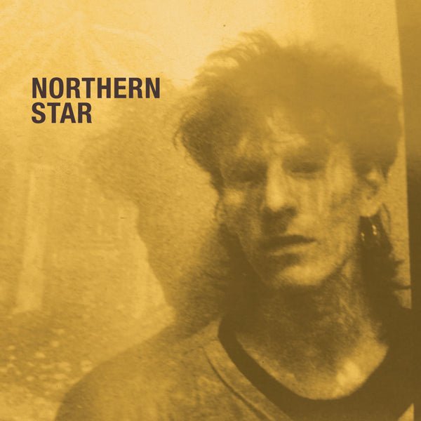 DAVID FIELDING [ The Chameleons guitarist ] NORTHERN STAR COMPACT DISC - punk to funk heaven