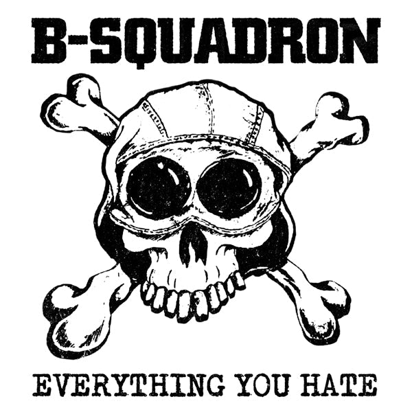 EVERYTHING YOU HATE by B SQUADRON Vinyl LP RR253LP - punk to funk heaven