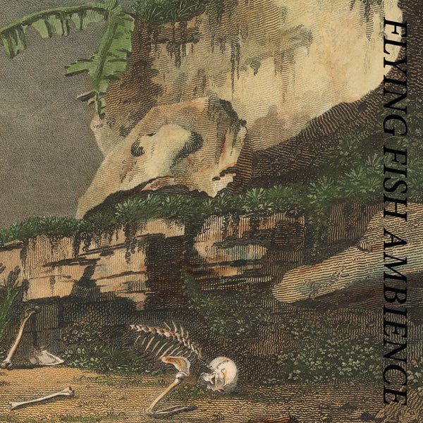 FLYING FISH AMBIENCE by RAINFOREST SPIRITUAL ENSLAVEMENT Compact Disc Digi HOS670CD - punk to funk heaven