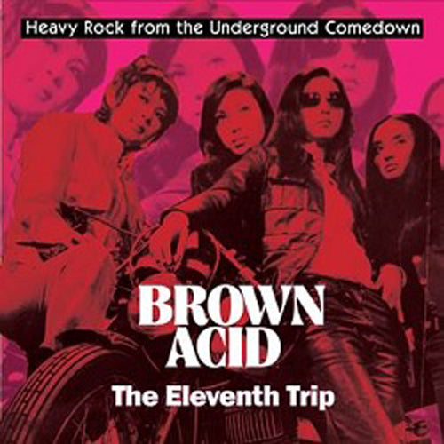 BROWN ACID: THE ELEVENTH TRIP various artists vinyl lp EZRDR124