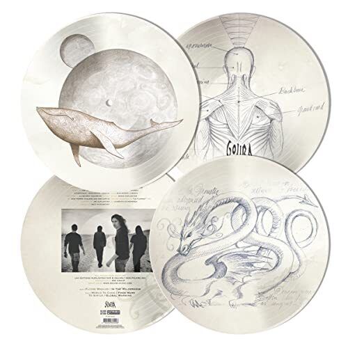 Gojira - From Mars to Sirius picture disc set [VINYL] lp x 2 - punk to funk heaven