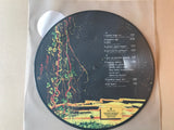 MANÇO, Baris - “2023” vinyl lp picture disc  GUESS174