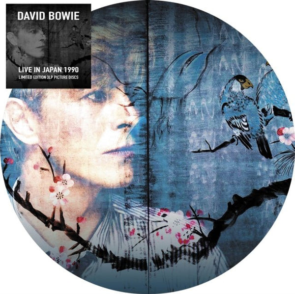 Live At The Tokyo Dome. Japan - 16Th May 1990 (Picture Disc) Artist DAVID BOWIE Format:LP x 3 Label:EVOLUTION Catalogue No:JER23 - punk to funk heaven