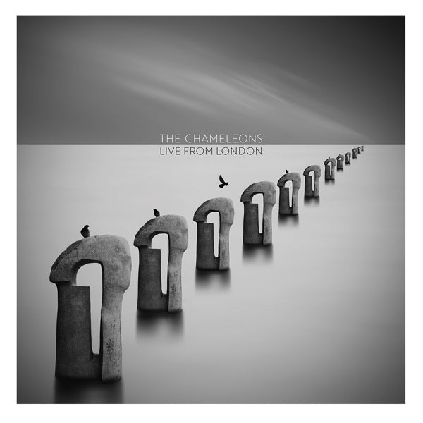 LIVE FROM LONDON (CLEAR VINYL) by CHAMELEONS, THE Vinyl Double Album PLATE077LP - punk to funk heaven