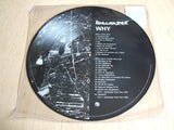 discharge  why ? 12 " vinyl picture disc  2017 record store day reissue